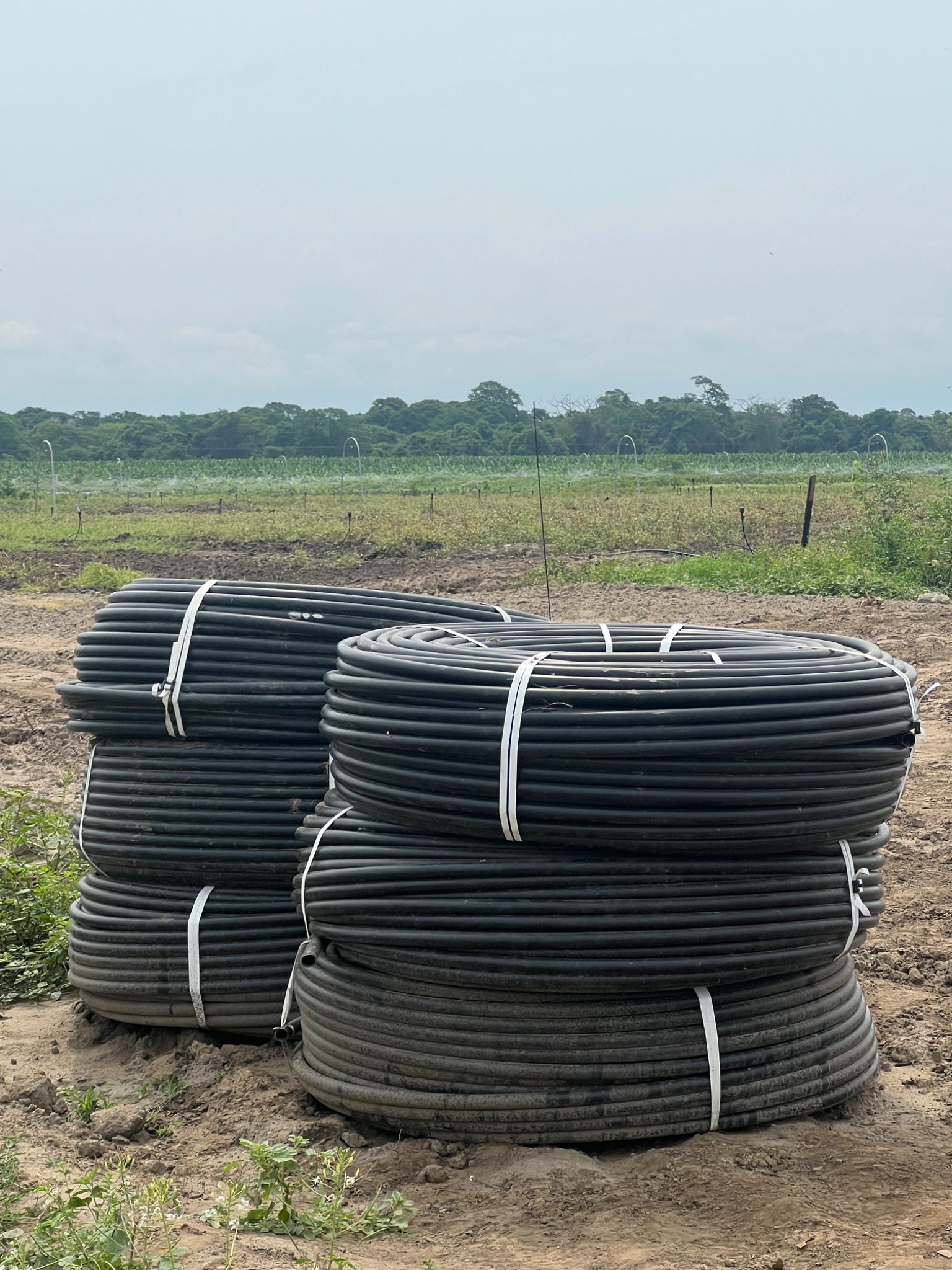 Rollos de manguera preparados para instalación en campo